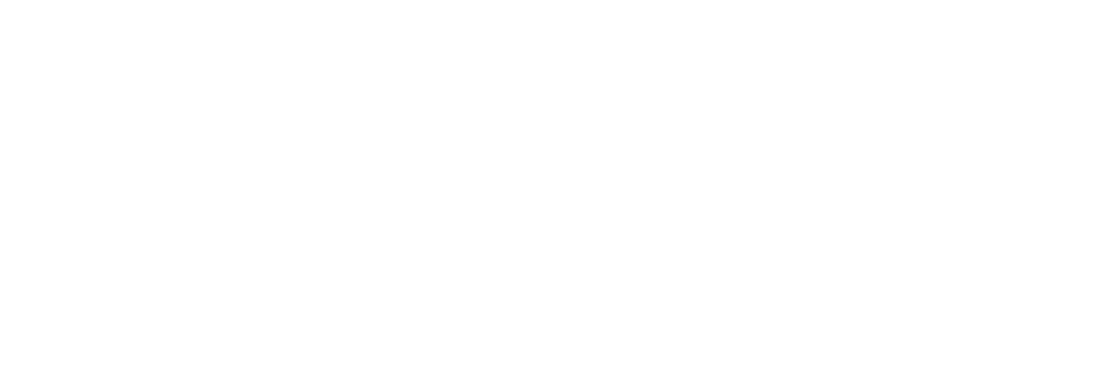 smart white logo